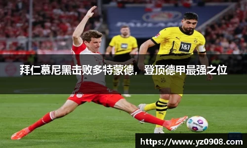 易游体育app