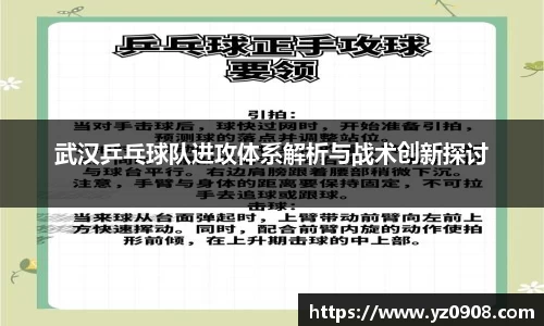 武汉乒乓球队进攻体系解析与战术创新探讨
